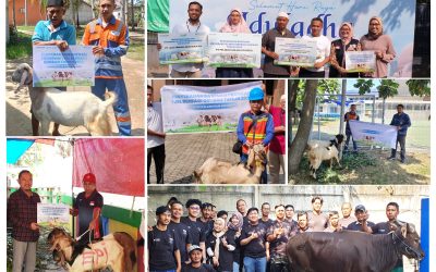 PT Energi Pelabuhan Indonesia Salurkan Hewan Kurban di Wilayah Operasional sebagai Bagian dari Komitmen TJSL Perusahaan